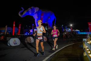 BIB: 
                            <button type="button" onclick="openModal(26551929)" class="btn btn-primary btn-sm float-right btn-popup" data-toggle="modal" data-target=".modal-high-quality">
                        <i class="fas fa-shopping-cart"></i> Add to Cart
                    </button>
                                            <button type="button" onclick="isThisMe(26551929, true)" class="btn btn-success btn-sm float-right btn-popup btn-isme hidden" data-toggle="tooltip" data-placement="bottom" title="นี่คือรูปของคุณใช่ไหม คลิกที่นี่เพื่อเอาเข้าอัลบั้ม">
                        <i class="fas fa-plus"></i> Add to album
                    </button>
                    <button type="button" onclick="isThisMe(26551929, false)" class="btn btn-warning btn-sm float-right btn-popup btn-isnotme hidden">
                        <i class="fas fa-ban"></i> Remove from album
                    </button>